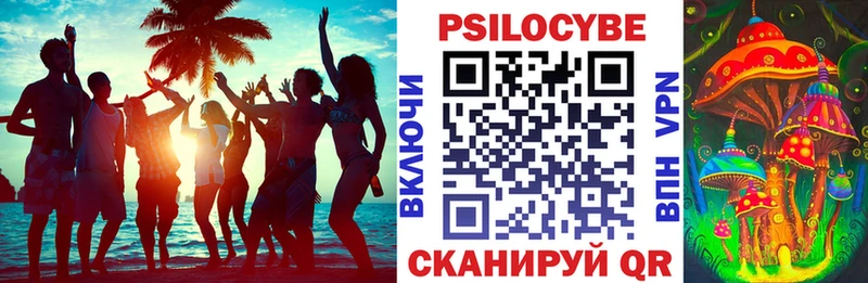 Галлюциногенные грибы ЛСД darknet состав Шагонар blacksprut